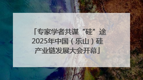 专家学者共谋“硅”途 2025年中国（乐山）硅产业链发展大会开幕