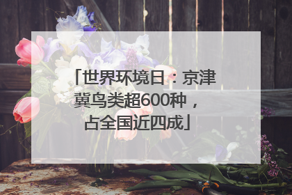 世界环境日：京津冀鸟类超600种，占全国近四成