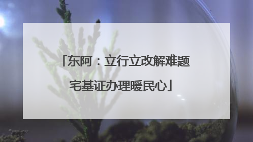 东阿：立行立改解难题 宅基证办理暖民心