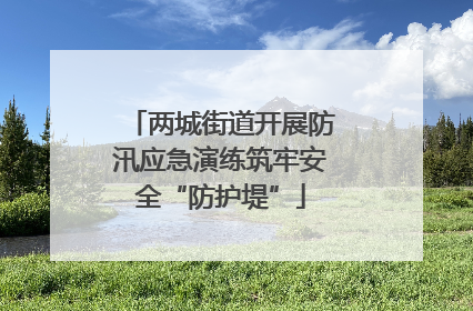 两城街道开展防汛应急演练筑牢安全“防护堤”