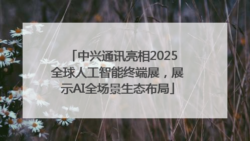 中兴通讯亮相2025全球人工智能终端展，展示AI全场景生态布局