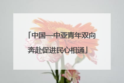 中国—中亚青年双向奔赴促进民心相通