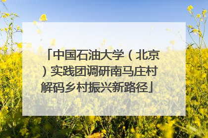 中国石油大学（北京）实践团调研南马庄村解码乡村振兴新路径