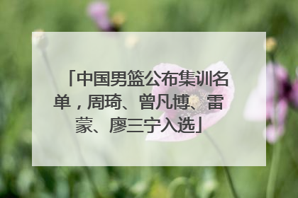 中国男篮公布集训名单，周琦、曾凡博、雷蒙、廖三宁入选