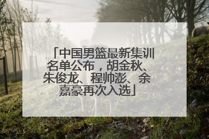 中国男篮最新集训名单公布，胡金秋、朱俊龙、程帅澎、余嘉豪再次入选