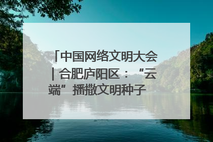 中国网络文明大会｜合肥庐阳区：“云端”播撒文明种子 共建清朗网络空间