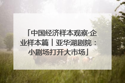 中国经济样本观察·企业样本篇︱亚华湖剧院：小剧场打开大市场