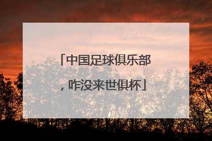 中国足球俱乐部，咋没来世俱杯