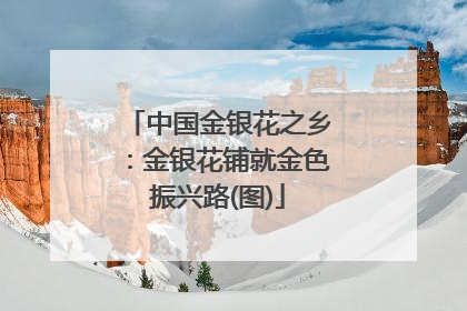 中国金银花之乡：金银花铺就金色振兴路(图)