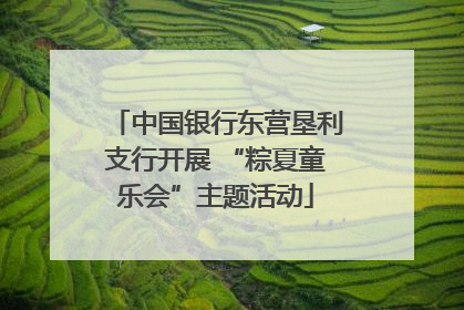 中国银行东营垦利支行开展 “粽夏童乐会”主题活动