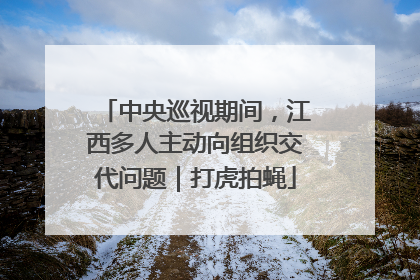 中央巡视期间，江西多人主动向组织交代问题｜打虎拍蝇