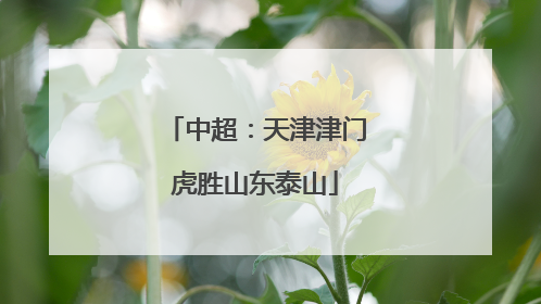 中超：天津津门虎胜山东泰山