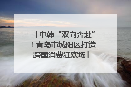 中韩“双向奔赴”！青岛市城阳区打造跨国消费狂欢场