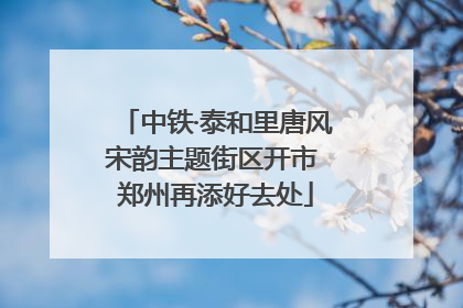 中铁·泰和里唐风宋韵主题街区开市 郑州再添好去处