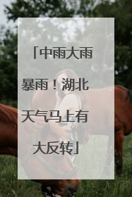 中雨大雨暴雨！湖北天气马上有大反转