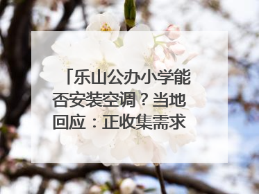 乐山公办小学能否安装空调？当地回应：正收集需求，部分中小学已启动安装｜云求助