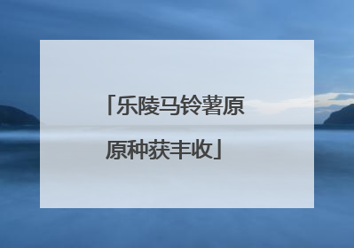 乐陵马铃薯原原种获丰收