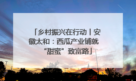 乡村振兴在行动丨安徽太和：西瓜产业铺就“甜蜜”致富路