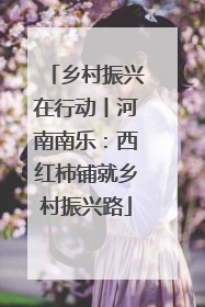 乡村振兴在行动丨河南南乐：西红柿铺就乡村振兴路
