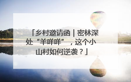 乡村邀请函｜密林深处“羊咩咩”，这个小山村如何逆袭？