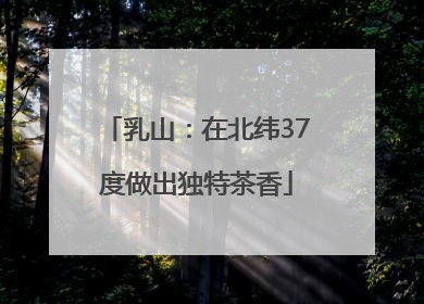乳山：在北纬37度做出独特茶香