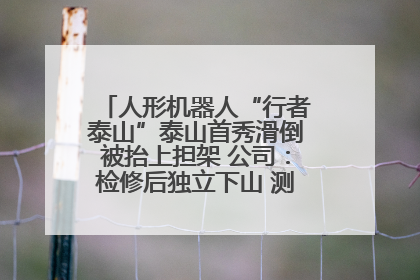人形机器人“行者泰山”泰山首秀滑倒被抬上担架 公司：检修后独立下山 测试就是为暴露问题