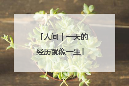 人间｜一天的经历就像一生