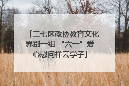 二七区政协教育文化界别一组 “六一”爱心慰问祥云学子