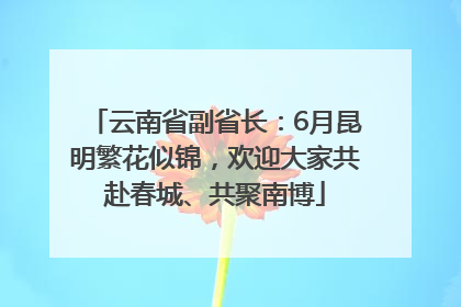 云南省副省长：6月昆明繁花似锦，欢迎大家共赴春城、共聚南博
