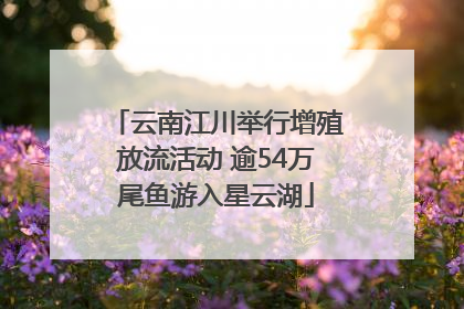 云南江川举行增殖放流活动 逾54万尾鱼游入星云湖