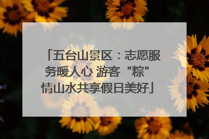 五台山景区：志愿服务暖人心 游客“粽”情山水共享假日美好