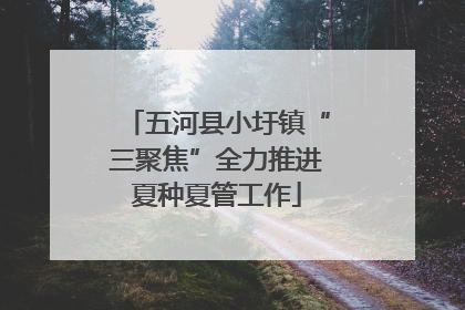 五河县小圩镇“三聚焦”全力推进夏种夏管工作