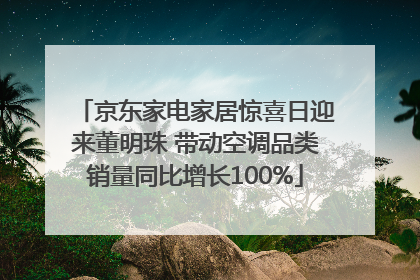 京东家电家居惊喜日迎来董明珠 带动空调品类销量同比增长100%