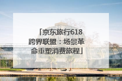 京东旅行618跨界联盟：场景革命重塑消费旅程
