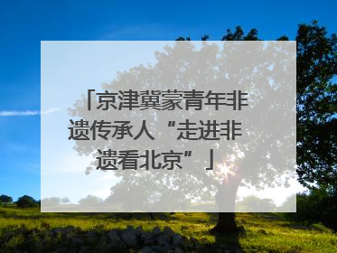 京津冀蒙青年非遗传承人“走进非遗看北京”