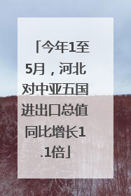 今年1至5月，河北对中亚五国进出口总值同比增长1.1倍