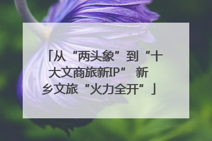 从“两头象”到“十大文商旅新IP” 新乡文旅“火力全开”