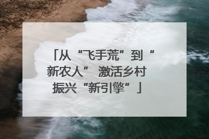 从“飞手荒”到“新农人” 激活乡村振兴“新引擎”