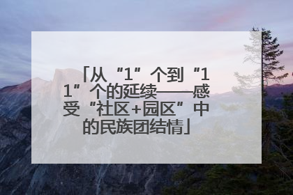 从“1”个到“11”个的延续——感受“社区+园区”中的民族团结情