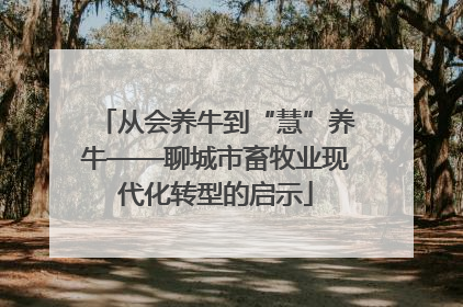 从会养牛到“慧”养牛——聊城市畜牧业现代化转型的启示