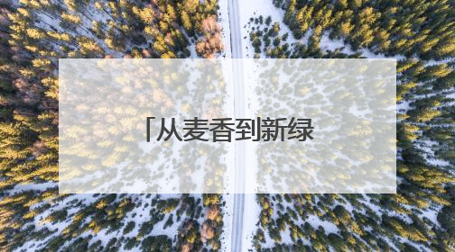 从麦香到新绿 沾化区富源街道全力保障“三夏”生产工作