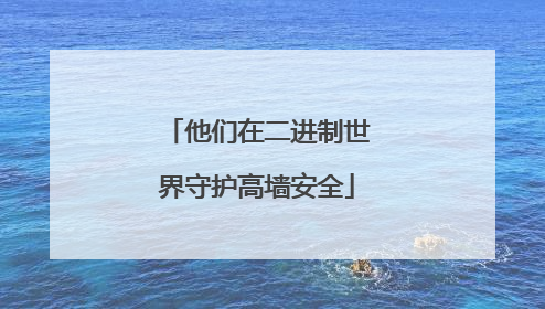 他们在二进制世界守护高墙安全