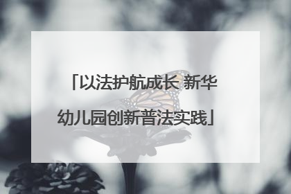 以法护航成长 新华幼儿园创新普法实践