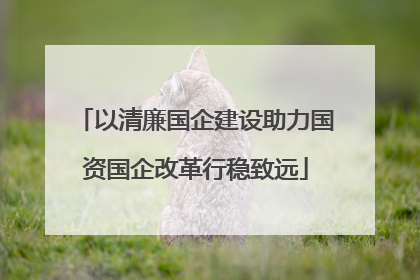 以清廉国企建设助力国资国企改革行稳致远