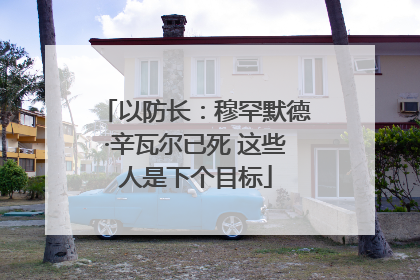 以防长：穆罕默德·辛瓦尔已死 这些人是下个目标