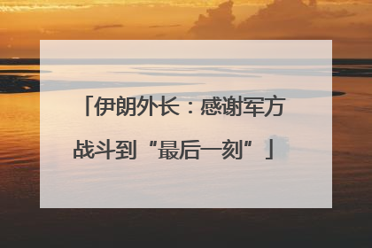 伊朗外长：感谢军方战斗到“最后一刻”