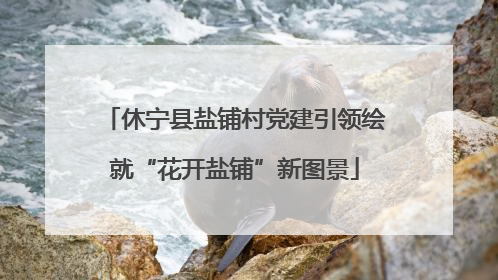 休宁县盐铺村党建引领绘就“花开盐铺”新图景
