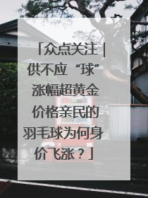 众点关注｜供不应“球” 涨幅超黄金 价格亲民的羽毛球为何身价飞涨？