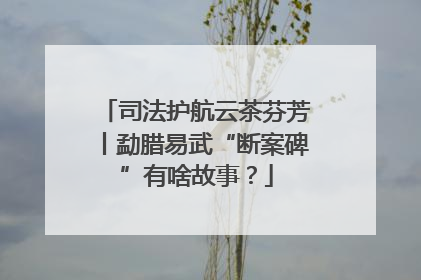 司法护航云茶芬芳丨勐腊易武“断案碑”有啥故事？