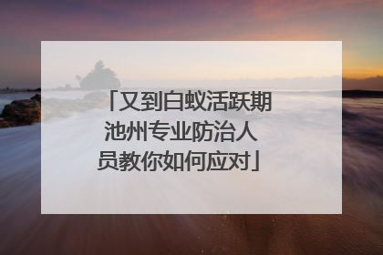 又到白蚁活跃期 池州专业防治人员教你如何应对